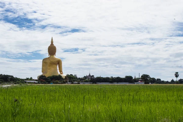 2019年6月29日 タイ王国のワット ムアン寺院で最大の座像 セメントで作られ 金色で描かれた画像 — ストック写真