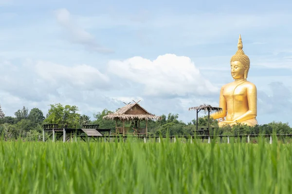 2019年6月29日 タイ王国のワット ムアン寺院で最大の座像 セメントで作られ 金色で描かれた画像 — ストック写真