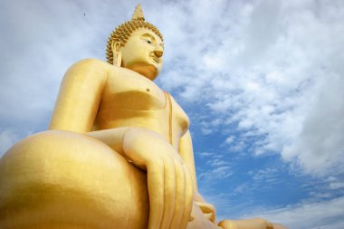 ANG THAILAND - 29 Haziran 2019: Wat Muang Tapınağı 'ndaki Tayland' ın en büyük Buda imajı. Çimentodan yapılmış ve altın rengine boyanmış bir resim..