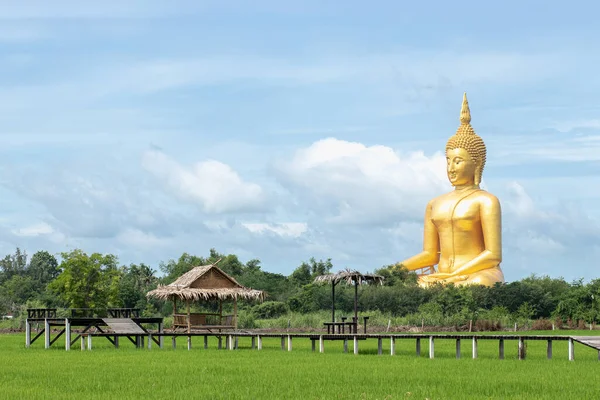 2019年6月29日 タイ王国のワット ムアン寺院で最大の座像 セメントで作られ 金色で描かれた画像 — ストック写真