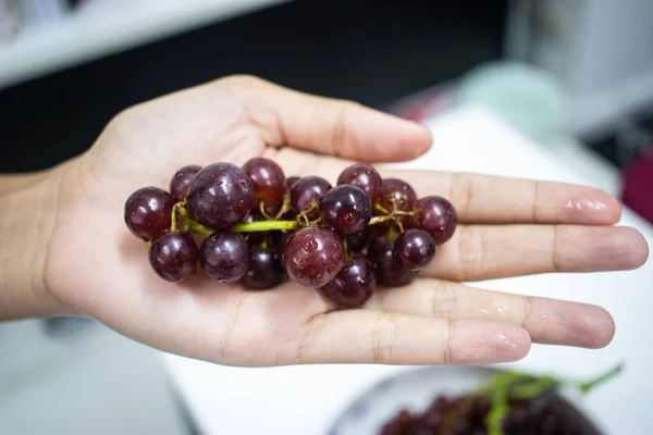 Red grapes in hand for eating.