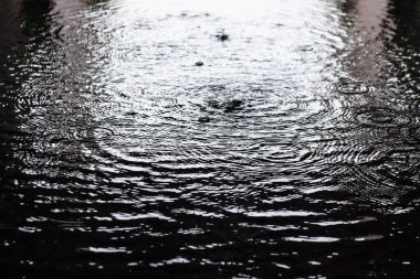 Siyah dalga su yüzeyi rüzgarla hareket ediyor ve dalgalandı. Dramatik ve ışığa karşı. Seçici odak.