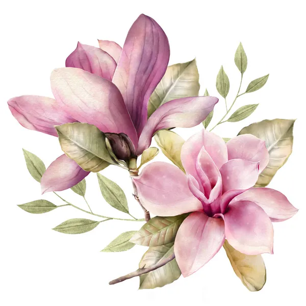 elegant magnolia flower for logo, banner or invitations
