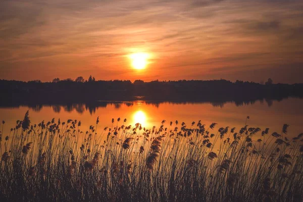 Оранжевый Рассвет Озере Солнце Трава Фоне Прекрасного Неба — стоковое фото