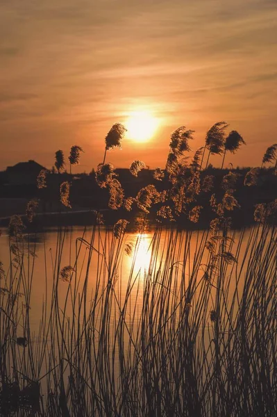 호수에서의 주황색 아름다운 하늘을 배경으로 — 스톡 사진