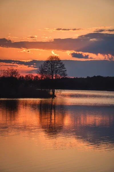 Beau Lever Soleil Sur Lac Polonais Reflet Des Arbres Soleil — Photo