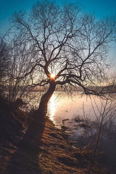 Beautiful Morning Landscape Lake Spring Tree Reflected Water — Stock Photo, Image