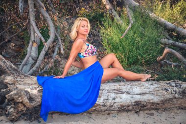 Vahşi deniz manzarasında bir kadın seansı. Polonya Denizi kıyısında bir ağaç gövdesinde oturan güzel kadın..