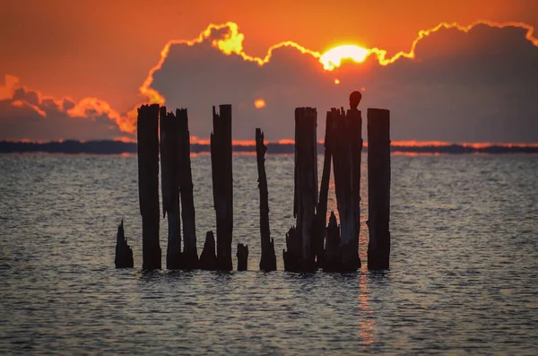 Vacker Utsikt Över Havet Träbultar Vid Polens Kust Med Kvällssol — Stockfoto