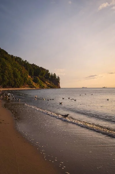 Vackert Morgonlandskap Vid Havet Klipp Med Stenar Vatten Östersjön Gdynia — Stockfoto