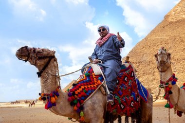 Deve sahibi piramitleri gezdirmeyi teklif ediyor..