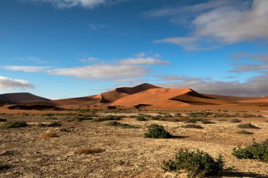 Kırmızı kum tepeleri, Namibya