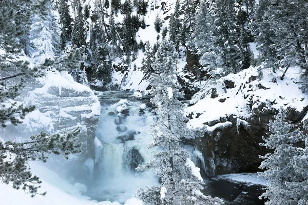 Ormandaki Şelale Karla Kaplı Ağaçlarla Kaplı Güzel Kış Manzarası — Stok fotoğraf