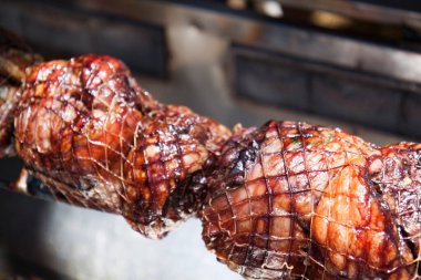 Lemur güneşli bir sabahta ağaçta oturuyor.