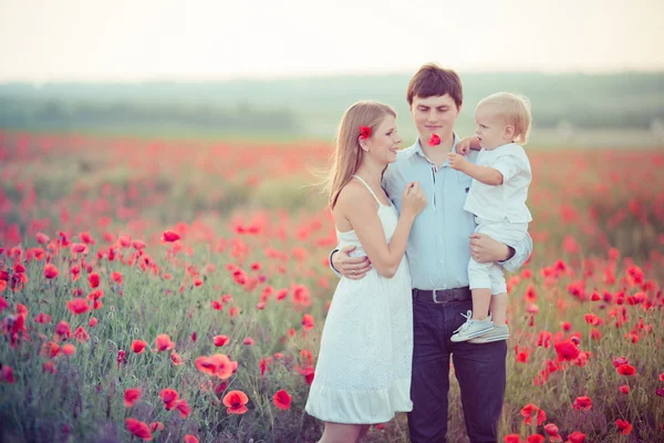 Família no campo da papoula — Fotografia de Stock