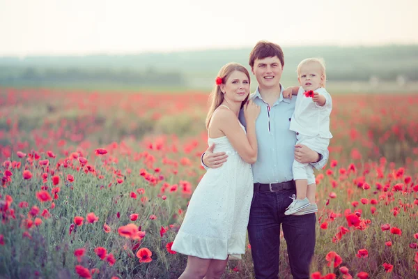 Família no campo da papoula — Fotografia de Stock