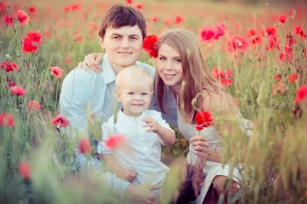 Família no campo da papoula — Fotografia de Stock