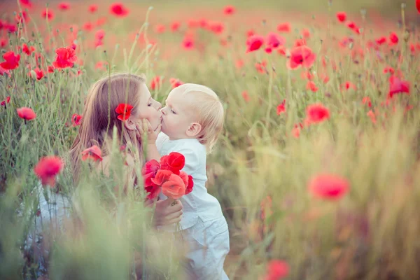 Family in poppy field — Stock Photo, Image