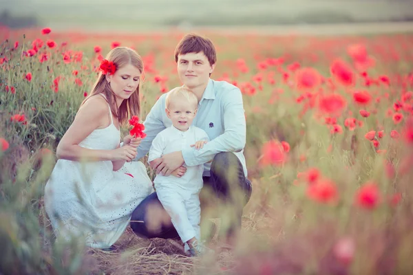 Família no campo da papoula — Fotografia de Stock