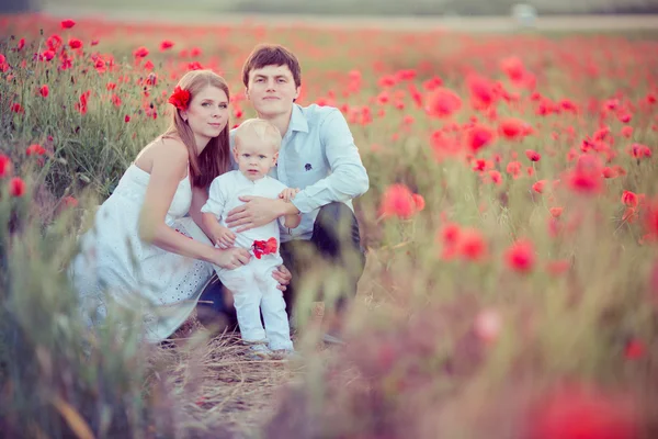 Família no campo da papoula — Fotografia de Stock