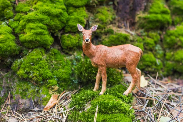 Roe deer standing at the foot of mountain — Stock Photo, Image
