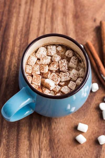 Cocoa dengan marshmallow kecil — Stok Foto