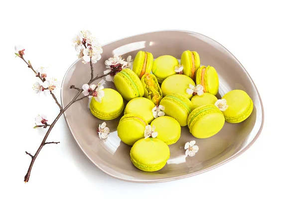 Macaroni gialli su piastra, messa a fuoco selettiva — Foto Stock