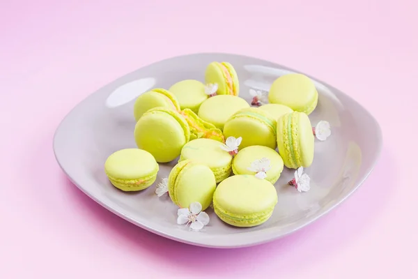 Yellow macaroons on plate, selective focus — Stock Photo, Image