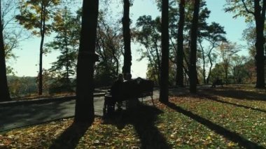 Nehrin kıyısındaki güneşli sonbahar parkı boyunca hava manzarası.