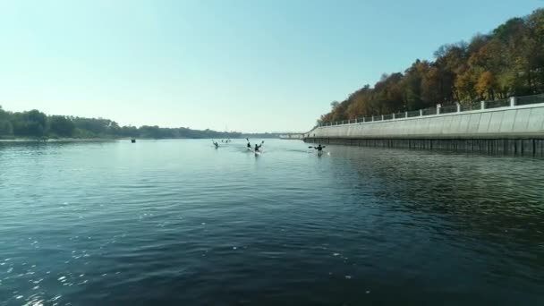 Roeiers op kajaks peddelen op de rivier langs de stadsdijk — Stockvideo