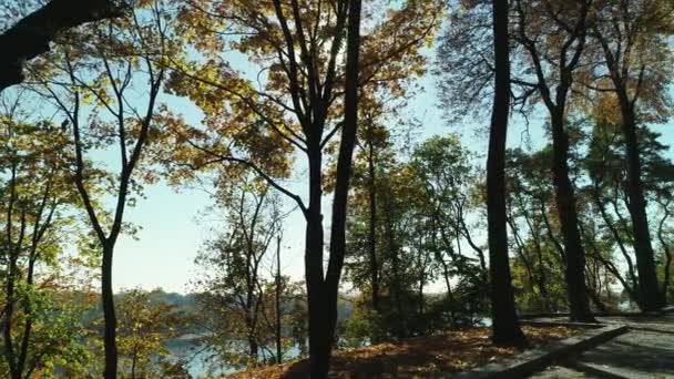 Вид з повітря вздовж сонячного осіннього парку прогулянка на березі річки — стокове відео