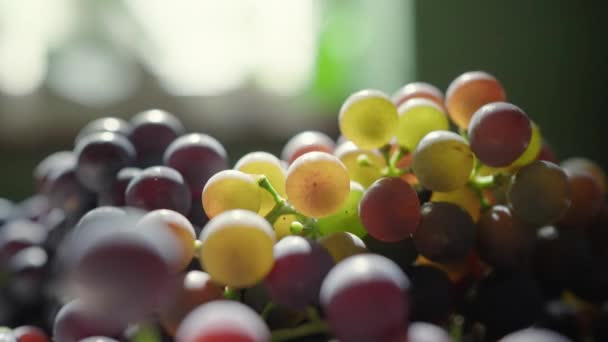 晴れた夏の日にキッチンテーブルの上に新鮮なブドウを選んだ — ストック動画