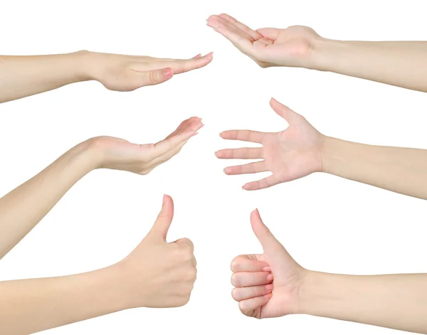 Collage hands — Stock Photo, Image