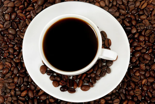 Cup of coffee — Stock Photo, Image