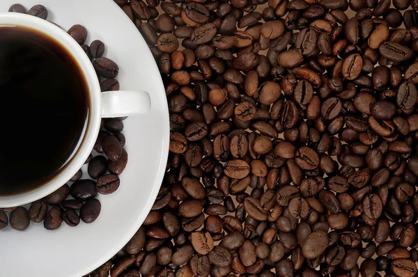 Cup of coffee — Stock Photo, Image