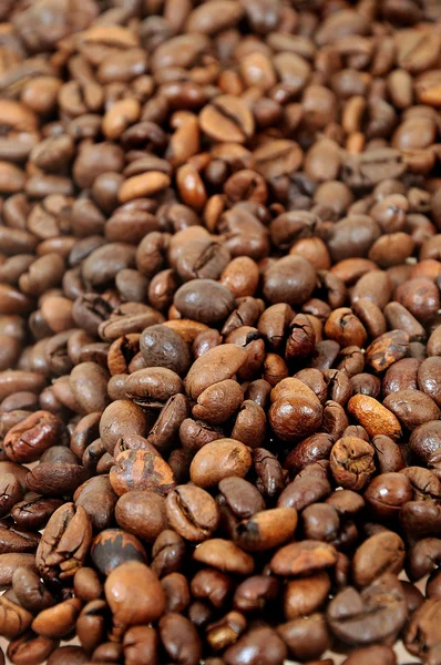 Roasted coffee beans Stock Picture