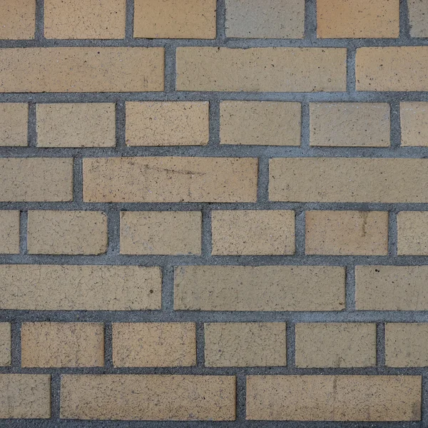 Adoquines de concreto textura | losas de pavimento. textura Enlosables