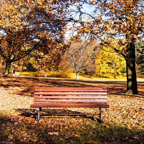 Panchina in parco in autunno — Foto Stock