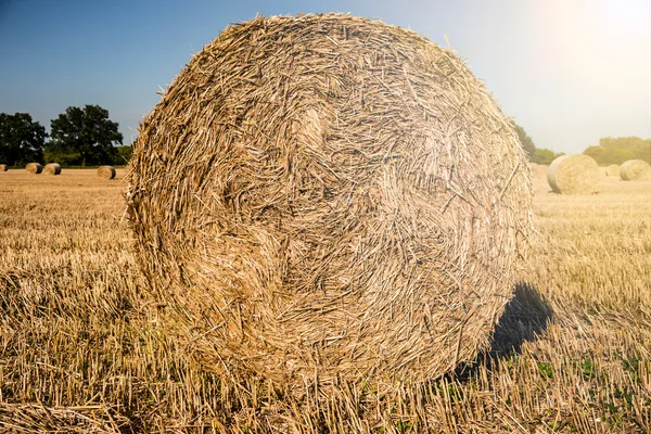 Straw bale in the sun — Stock Photo, Image