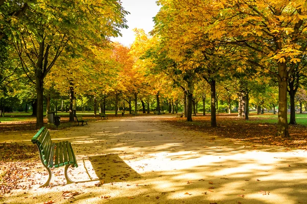 Tiergarten Berlim — Fotografia de Stock