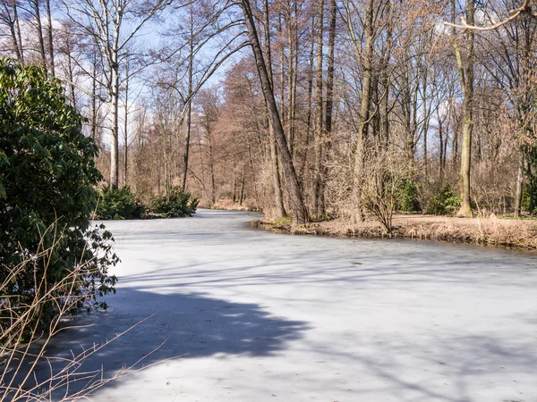 Vinterparken — Stockfoto