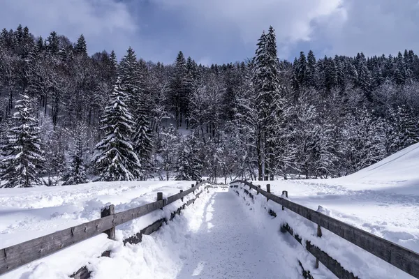 Breitachklamm への入り口 — ストック写真