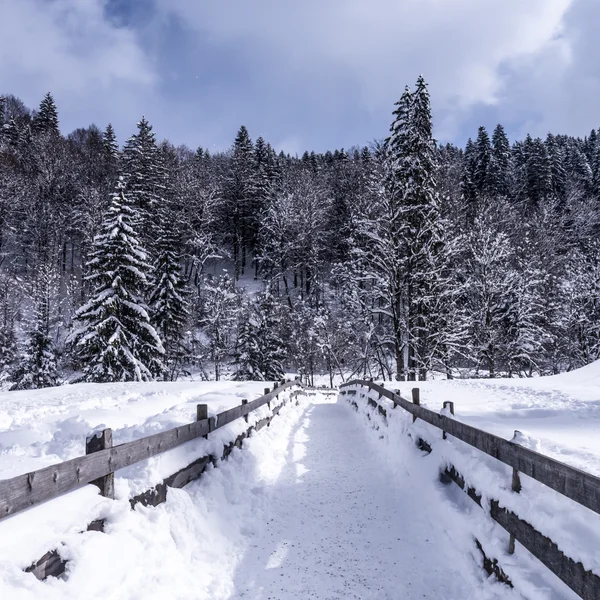 Breitachklamm yol — Stok fotoğraf