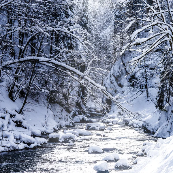 Winterlandschap — Stockfoto