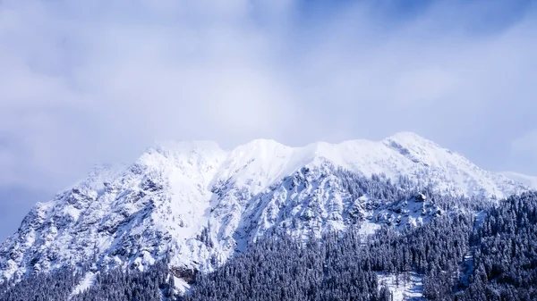 Nebelhorn no inverno — Fotografia de Stock