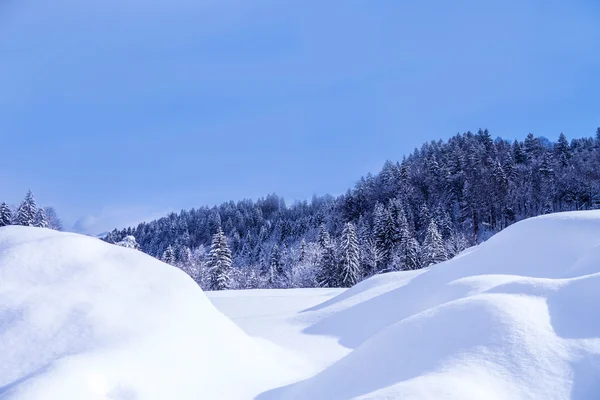 Paisaje invierno —  Fotos de Stock