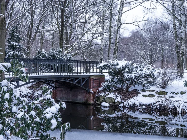 Bro i parken — Stockfoto