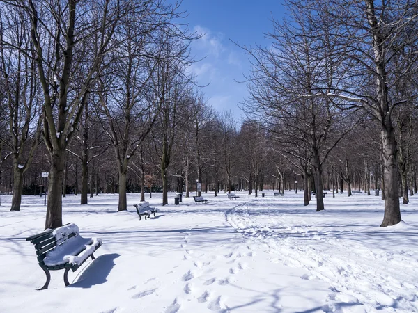 En bänk i parken — Stockfoto