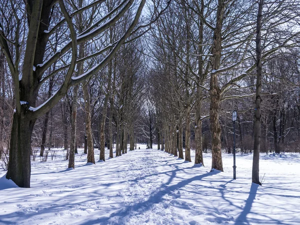 Winter alley — Stock Photo, Image