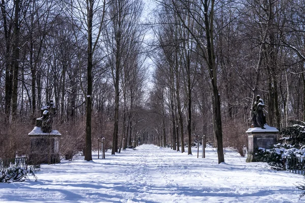 Winter alley — Stock Photo, Image